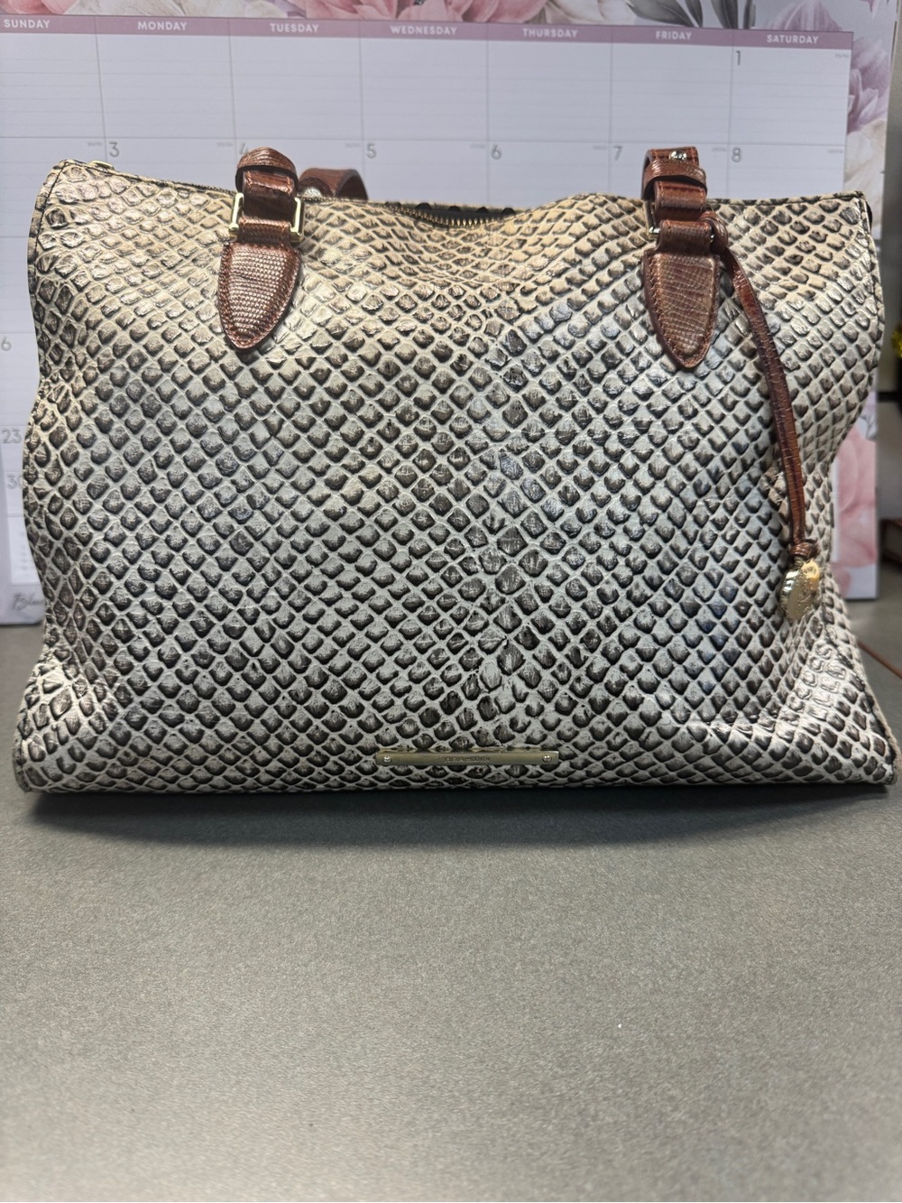 Brahmin Womens Bags Brahmin Medium Asher Snake Print